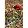 Roses Amidst the Thorn: The Parched Garden