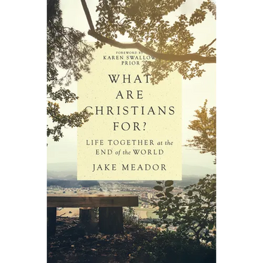 What Are Christians For?: Life Together at the End of the World