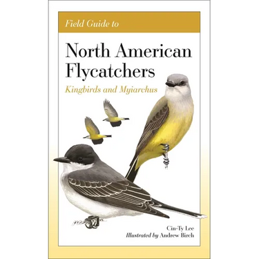 Field Guide to North American Flycatchers: Kingbirds and Myiarchus