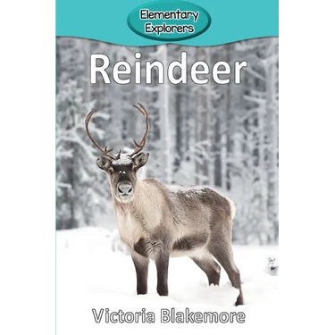 Reindeer