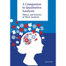 Companion to Qualitative Analysis: Theory and Practice of Thick Analysis