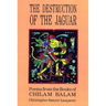 Destruction of the Jaguar: From the Books of Chilam Balam