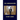 THE AMBASSADORS Henry James