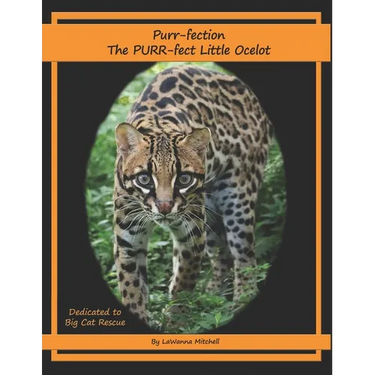 Purr-fection, the PURR-fect Little Ocelot