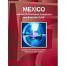 Mexico Internet, E-Commerce Investment and Business Guide - Strategic and Practical Information, Regulations, Opportunities
