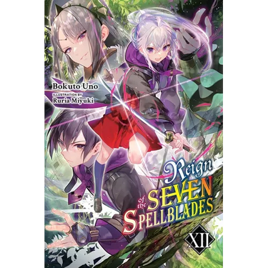 Reign of the Seven Spellblades, Vol. 12 (Light Novel)
