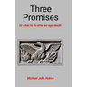 Three Promises: Or what to do after an ego death
