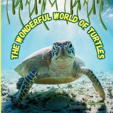 The Wonderful World of Turtles: Interesting Facts About Turtles