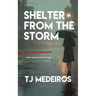 Shelter From The Storm: A Terry Eckhart Detective Novel