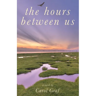 The Hours Between Us