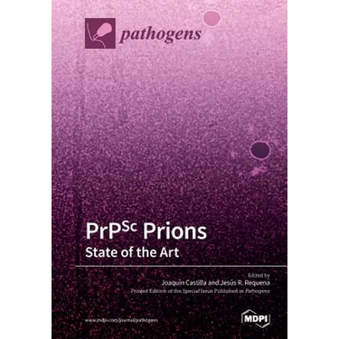 PrPSc Prions: State of the Art