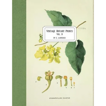 Vintage Botany Prints: Vol. 9