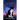 Meow Now: No Death, Only Transcendence