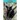 Black Bears