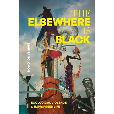 The Elsewhere Is Black: Ecological Violence and Improvised Life
