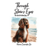 Through Stevie's eyes