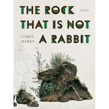 The Rock That Is Not a Rabbit: Poems