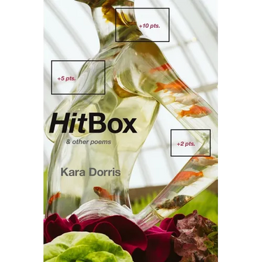 HitBox