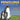 Penguins Like Warm Climates Too! Animal Books for Kids 9-12 Children's Animal Books