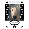Spot On: Mystery at the Dog Rescue