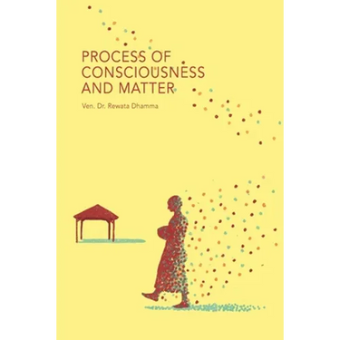 Process of Consciousness and Matter