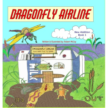 Dragonfly Airline