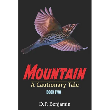 Mountain: A Cautionary Tale Book Two