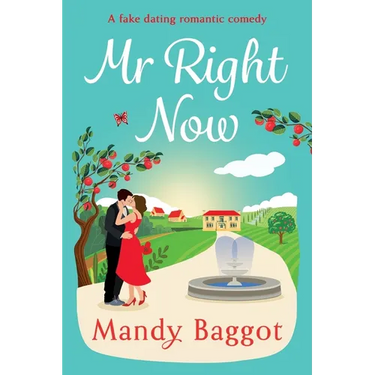Mr Right Now