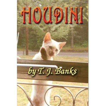 Houdini