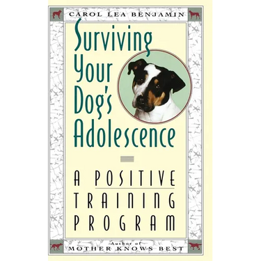 Surviving Your Dog's Adolescence: A Positive Training Program