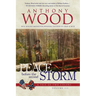 Peace Before the Second Storm: A Story of the Civil War