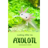 Looking After An Axolotl: Care Instructions for Axolotls
