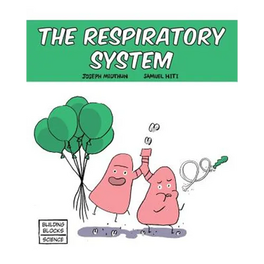 The Respiratory System
