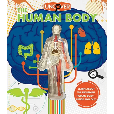 Uncover the Human Body
