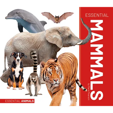 Essential Mammals
