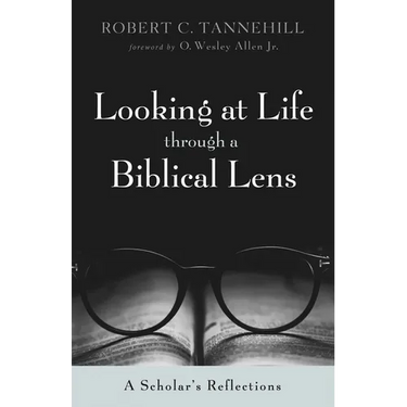 Looking at Life Through a Biblical Lens: A Scholar's Reflections