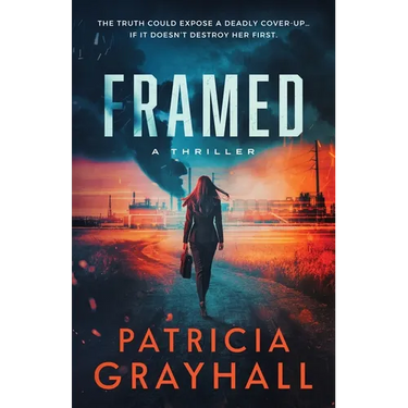 Framed: A Thriller