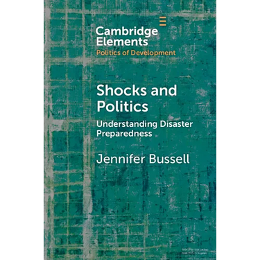 Shocks and Politics