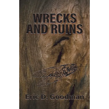 Wrecks and Ruins
