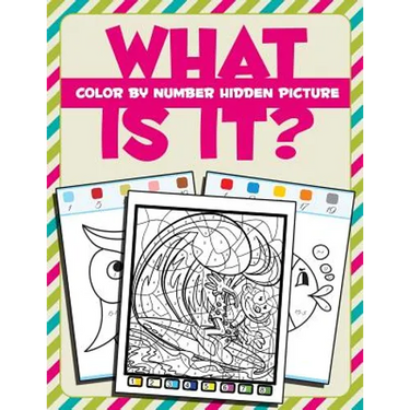 What Is It?: Color By Number Hidden Picture