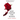 Red Grow the Roses