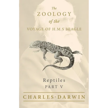 Reptiles - Part V - The Zoology of the Voyage of H.M.S Beagle; Under the Command of Captain Fitzroy - During the Years 1832 to 1836