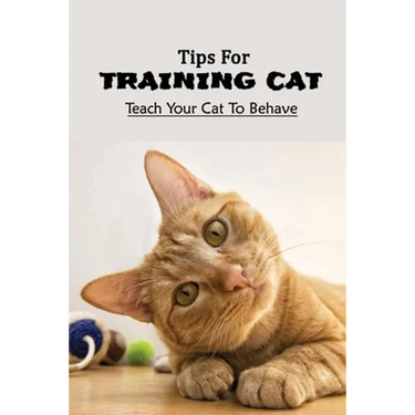 Tips For Training Cat: Teach Your Cat To Behave: Can You Teach A Cat Commands?