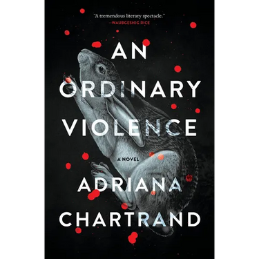An Ordinary Violence