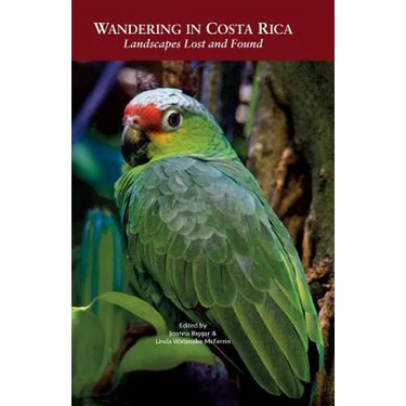 Wandering in Costa Rica: Landscapes Lost and Found