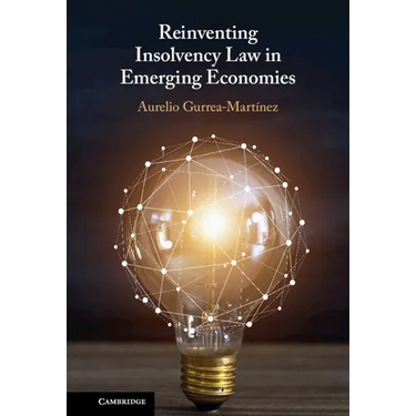 Reinventing Insolvency Law in Emerging Economies