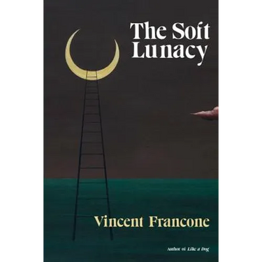 The Soft Lunacy: Episodes of Literary Obsession
