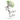 Rooted in Love: A Testimony of God's Faithfulness