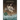 The Legend of Belle Cora: Lust and Mayhem in the Gold Rush days of San Francisco-A Historical Novel