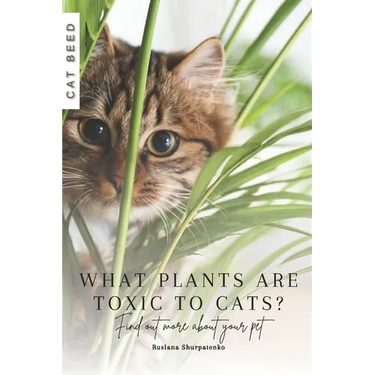 What plants are toxic to cats?: Find out more about your pet